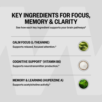 ONNIT Alpha Brain Nootropic Supplement – Focus & Memory Support – 90 Capsules