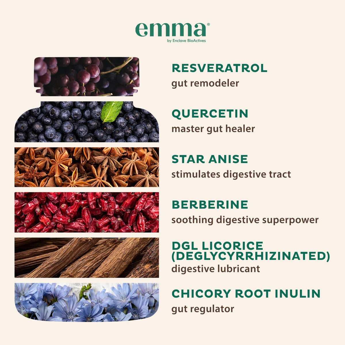 Emma Relief Digestive Support Supplement – Constipation, Gas & Bloating Relief