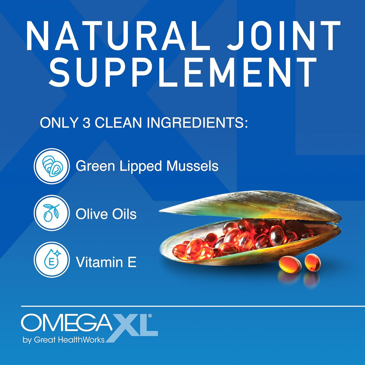 OmegaXL Joint Support Supplement, 300 Count