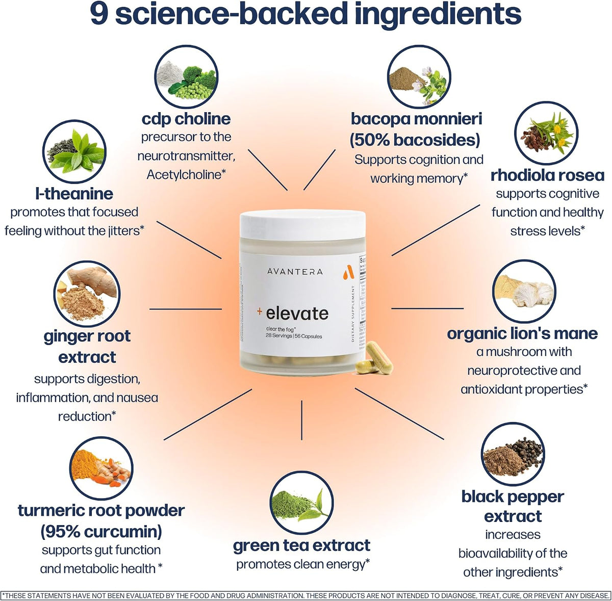 Avantera Elevate Premium Nootropic Supplement – Memory, Focus & Energy Support – 56 Count
