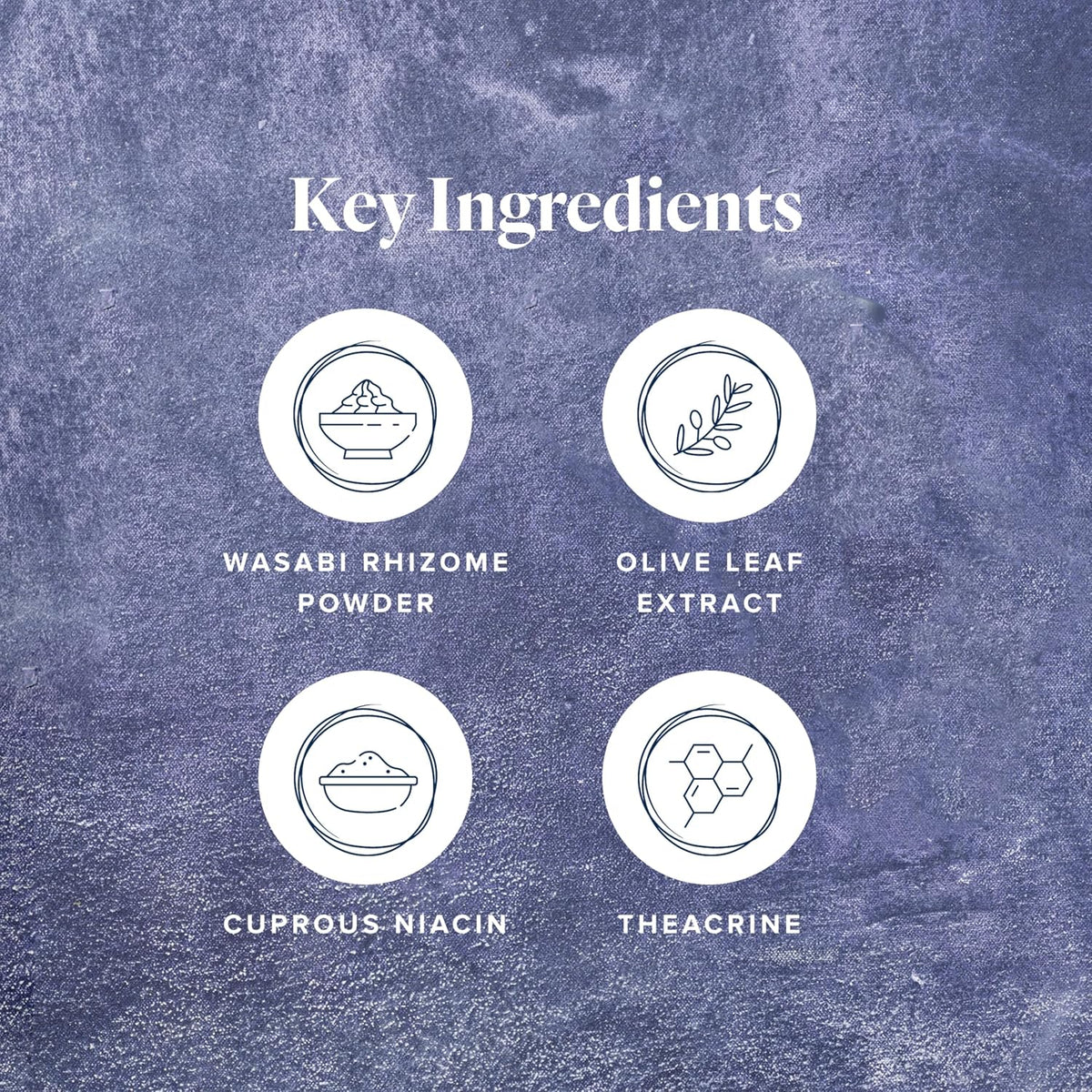 LifeVantage Protandim NAD Synergizer – Cellular Energy & Healthy Aging Support – 60 Capsules