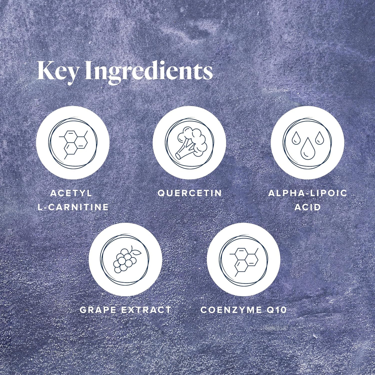 LifeVantage Protandim NRF1 Synergizer – Cellular Energy & Mitochondrial Support – 60 Capsules
